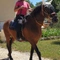 Propriétaire de Balades à cheval et école d'équitation à la Ferme équestre Le Relais de Vazeille