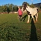 Propriétaire de Balade équestre : cheval, poney, dos d'âne ou en carriole... chez Heartwood Familly Ranch