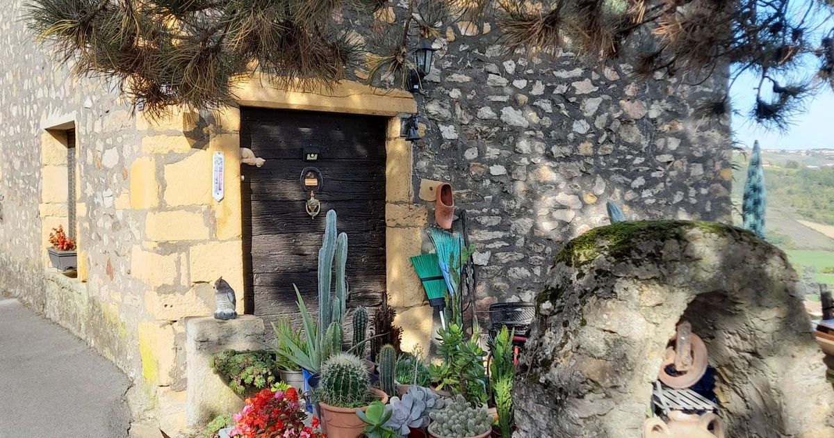 Beaujolais des pierres dorées : Ternand, petite cité de caractère