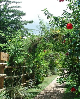 La visite de mon jardin !