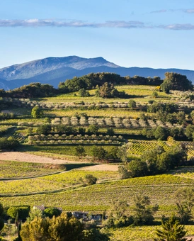 À la découverte de l’appellation Côtes du Rhône Villages Vaison-la-Romaine !
